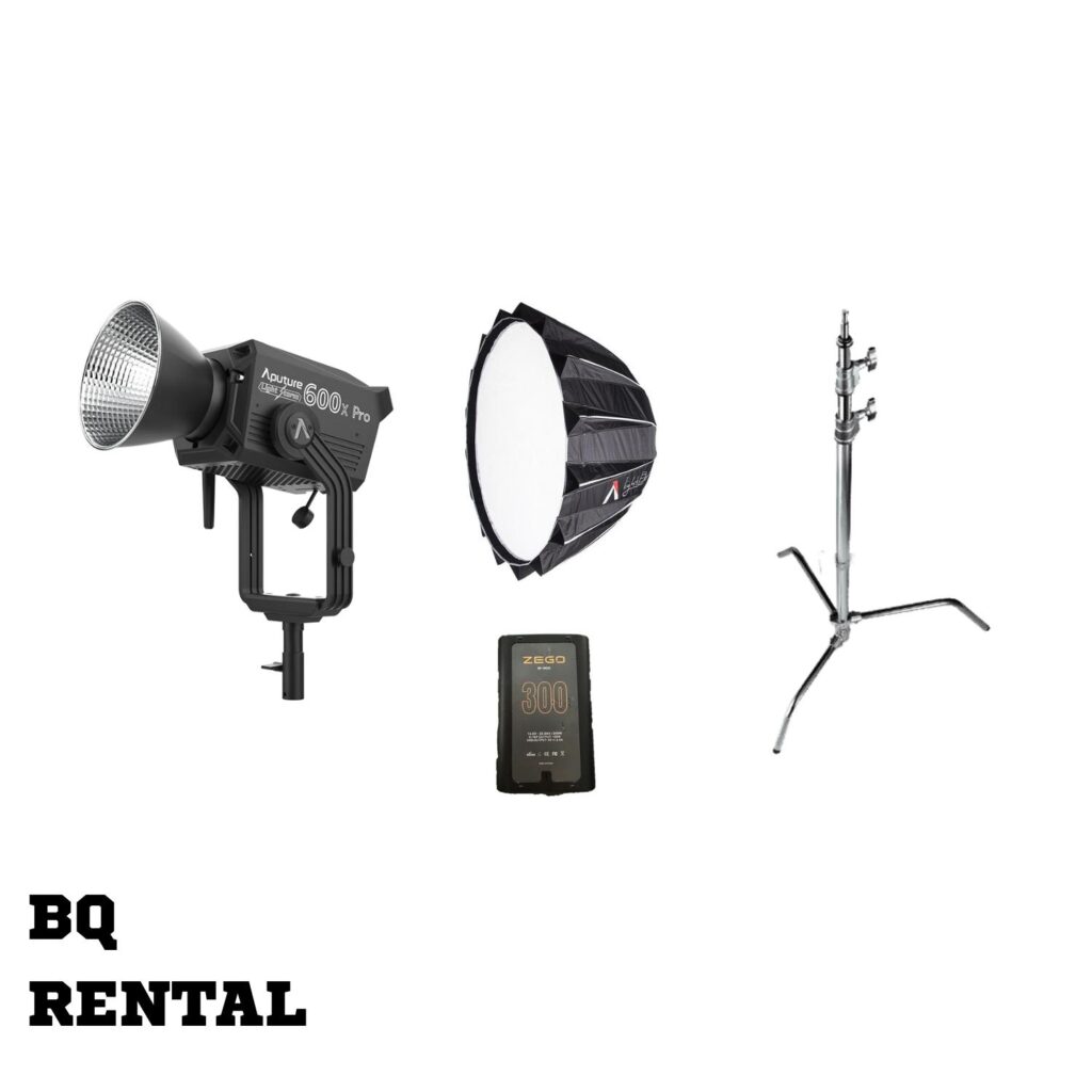 Aputure LS 600x Pro Lamp Head set 